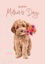 Cute Mother's Day Card - Cockapoo created by Debbie Daley Illustrations