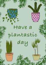 Pretty birthday card for a friend - houseplants - have a plantastic day created by Ellie Aardvark