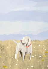 Cute Just Because Card - Italian Spinone created by Madeleine Groves