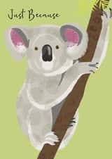 Cute Just Because Card - Koala - Branch created by Beverley Edge Illustrations
