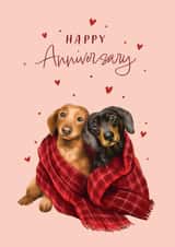 Cute Anniversary Card - Dogs - Dachshunds created by Debbie Daley Illustrations