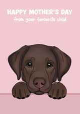 Cute Mother’s Day Card - From The Dog - Chocolate Labrador created by Choo Choo 