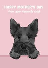 Cute Mother’s Day Card - Scottish Terrier - From The Dog created by Choo Choo