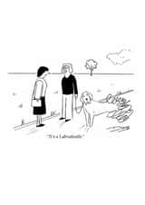 Fun Just Because Card - It's A Labradoodle - Cartoon created by Doug The Cartoonist