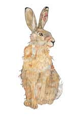 March Hare - Blank Greetings Card created by Katherine Blower
