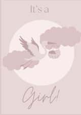 Newborn Baby Girl created by LizzyChloe