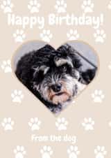 Personalised Birthday Photo Card created by LizzyChloe - Happy Birthday! From the dog