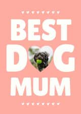 Personalised Birthday Photo Card created by @hollielonglanddesigns - Cute Mother's Day Card - Best Dog Mum