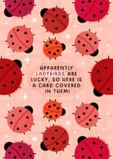 Cute Good Luck Card - Ladybirds - Lady Luck created by Joanne Hawker