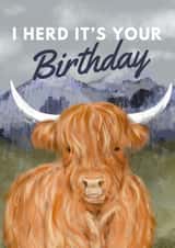 Cute Birthday Card - Highland Cow - Herd It's Your Birthday created by Hello Fridays Studio