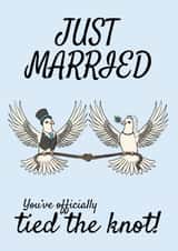 Classic Wedding Card - Doves - Tied The Knot created by @Cupsie's Creations