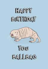 Funny Birthday Card - You Ballbag - Naked Molerat created by Blessherlittleartoons by Amy