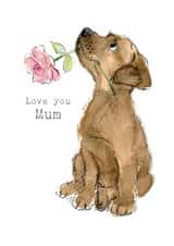 Cute Mother's Day/Birthday Card - Love You Mum - Puppy With Rose created by Paper Shed Design