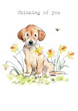 Cute Thinking of you Card - Cute Puppy with Daffodils created by Paper Shed Design