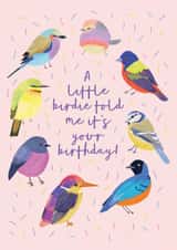 Classic Birthday Card - A Little Birdie Told Me It's Your Birthday - Birds created by Sarah Frances