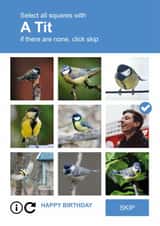 Personalised Birthday Photo Card created by Paul Stevens - Funny Birthday Card - Select a square - Tit