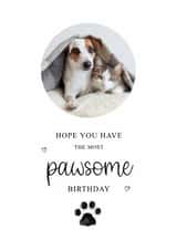 Personalised Birthday Photo Card created by Kalm Lettering - Classic Birthday Card - The Most Pawsome Birthday