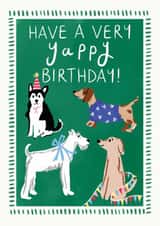 Dogs Birthday Card - Dog Pun Card - Cute Dog Birthday Card created by Lauren Barclay