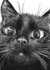 Cute black cat card - good luck, birthday, thank you, or just because! created by Erratic eel