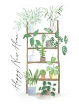 Classic New Home Card - Plant Ladder created by Nicky Espinasse