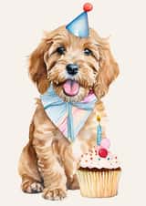 Cute Birthday Card - Cockapoo created by Bethany Brown