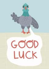 Funny Good Luck Card - Pigeon Poo created by Belly Flops 