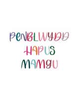 Floral Welsh Birthday Card for Grandmother - Penblwydd Hapus Mamgu created by Sunflowers & Sarcasm