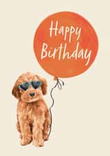 Cute Birthday Card - Cockapoo - Balloon created by Debbie Daley Illustrations