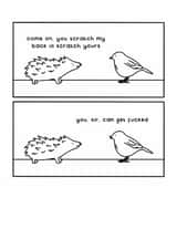 Funny Hedgehog Greeting Card - You Scratch My Back - Hedgehog created by Redback Cards