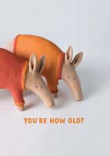 Funny Aardvark Birthday Card – Quirky 'You’re How Old?' created by Redback Cards
