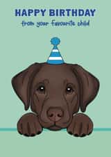 Cute Birthday Card - Chocolate Labrador created by Choo Choo 