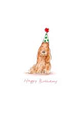Cute Birthday Card - Illustrated Cocker Spaniel created by Cardinky
