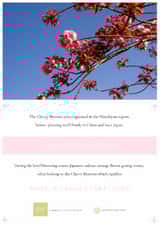 LGBTQ Congratulations Male Gay Couple Card - Clean, minimalist, inclusive created by Nathan Still Cards