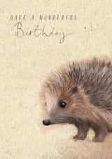 Cute Birthday Card - Hedgehog - Illustration created by Great British Card Company
