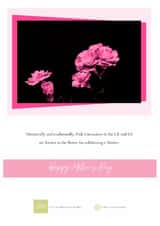 Pink Carnations Fine Art Contemporary Card for Mother's Day - minimalist created by Nathan Still Cards