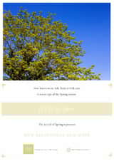 Simple, Clean Nature Fresh Tree Leaves Get Well Soon Card for Him/Her created by Nathan Still Cards