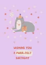 Cute Cat
Purr-fect
Birthday created by Jo Hall Designs