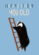 Cheeky Birthday Card - You Old - Badger created by Abbie Hawkins