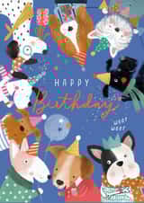 Cute dogs birthday card - happy birthday woof woof created by Stripey Paper