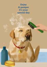 Cute birthday card - Enjoy pamper time like the VIP you are created by Sarah Barker Illustrations