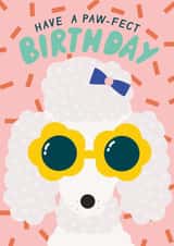 Cute Birthday Card - Poodle - Paw-fect created by Ellie Hyde