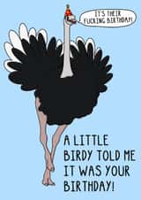 Funny Birthday Card - A Little Birdy Told Me - Ostrich created by OhJaye