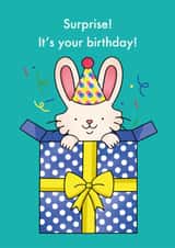 Cute Birthday Card - Bunny Surprise created by Emelia Brooks