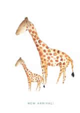 Cute New Baby Card - Giraffes - New Arrival created by Fiona Fawcett