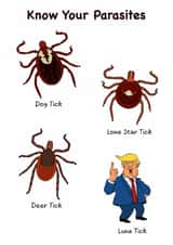 Funny Trump Birthday Card - cheeky rude joke for friends Dad male female created by Swizzoo