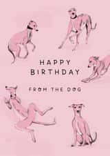 Cute Birthday Card - Whippet created by Ellen Jane LDN