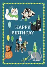 Cute Birthday Card - For A Cat Lover - Cats created by Holly Hudson-Smith