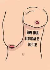 Hope your Birthday is the tits! created by PoppyDufrance