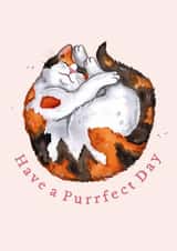 Cute Birthday Card - Calico Cat created by Amy Holliday