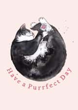 Cute Birthday Card - Sleepy Tuxedo Cat created by Amy Holliday